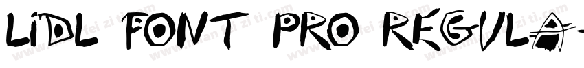 Lidl Font Pro Regula字体转换